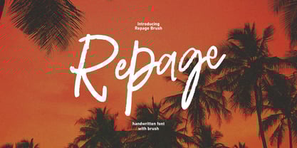 Repage Brush Font Poster 1