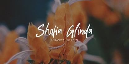 Repage Brush Font Poster 2