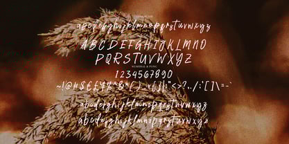 Repage Brush Font Poster 8