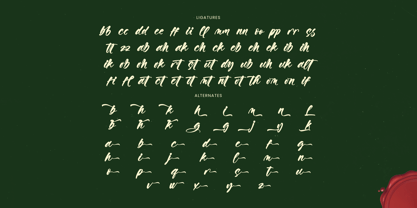 Vaughn Daniel Font Poster 15