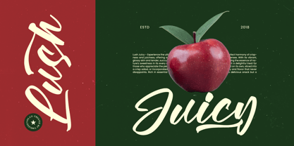 Vaughn Daniel Font Poster 3