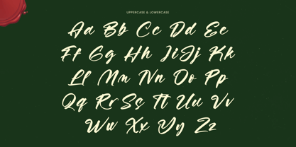 Vaughn Daniel Font Poster 13