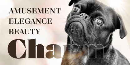 Eckhart Font Poster 2