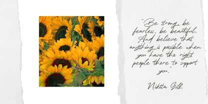 Rallys Font Poster 3