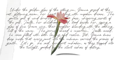 Rallys Font Poster 8