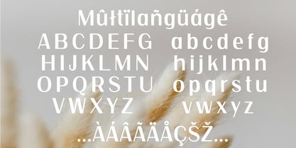 Aurelux Font Poster 6