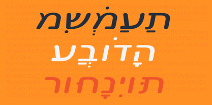 Pangi Font Poster 12