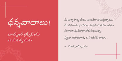 Shree Telugu 1616 Font Poster 4