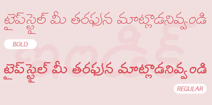 Shree Telugu 1616 Font Poster 3