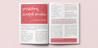 Shree Telugu 1616 Font Poster 5