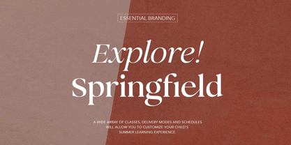 Perfect Challenge Font Poster 2