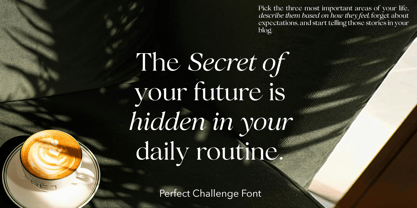 Perfect Challenge Font Poster 7