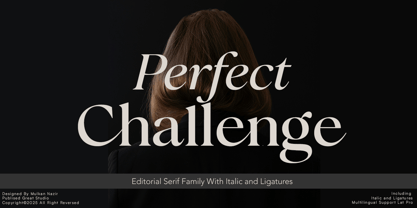 Perfect Challenge Font Poster 1