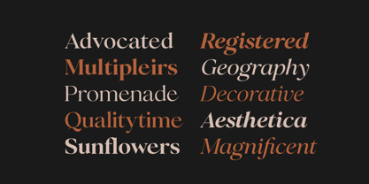 Perfect Challenge Font Poster 3