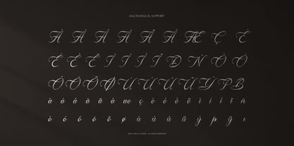 Anelyas Font Poster 11