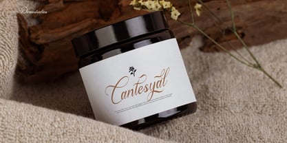 Anelyas Font Poster 7