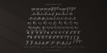 Anelyas Font Poster 12