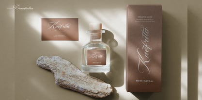 Anelyas Font Poster 9