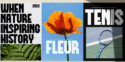 Debron Orders Font Poster 8