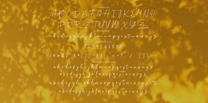 Senisti Signature Font Poster 8