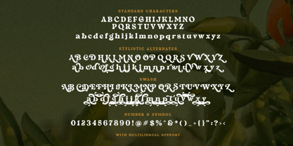 Radnick Font Poster 9