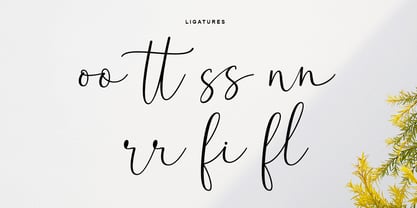 Blooming Garden Font Poster 15