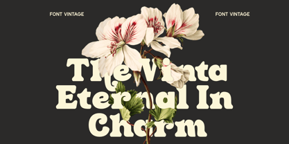 Clin Fiaro Font Poster 5