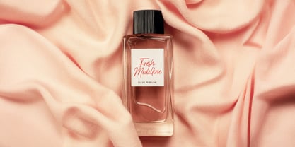 Cinthya Amy Font Poster 5