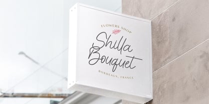 Cinthya Amy Font Poster 6