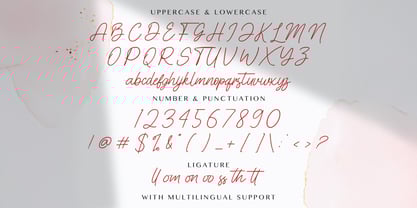 Cinthya Amy Font Poster 7