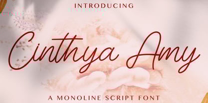 Cinthya Amy Font Poster 1