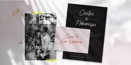 Cinthya Amy Font Poster 3