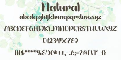 Natural Font Poster 6