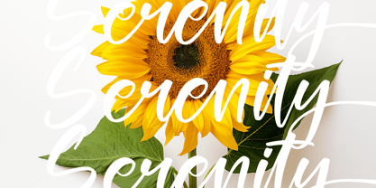 Glitters Sparkle Font Poster 10