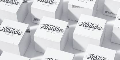 Saturide Script Font Poster 7