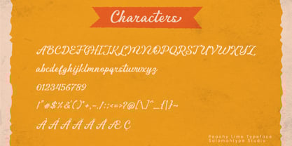 Peachy Lime Font Poster 8