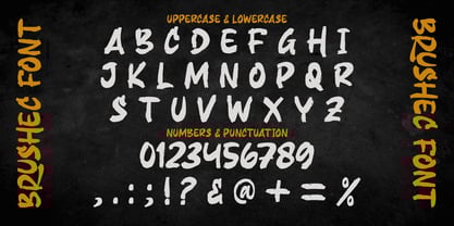 Brushec Font Poster 7