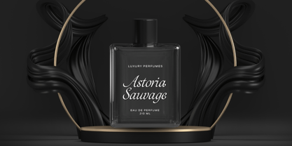 Miracle History Font Poster 4