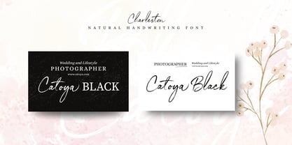 Charleston Font Poster 8