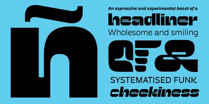 Poltik Font Poster 11