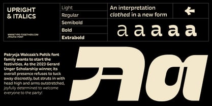 Poltik Font Poster 5