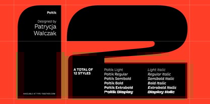 Poltik Font Poster 6
