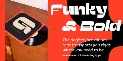 Poltik Font Poster 8