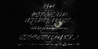 Malevolent Brush Font Poster 13