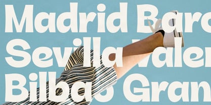 SLTF Rigale Font Poster 13