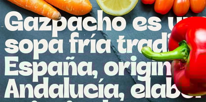 SLTF Rigale Font Poster 9