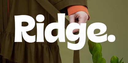 SLTF Rigale Font Poster 14