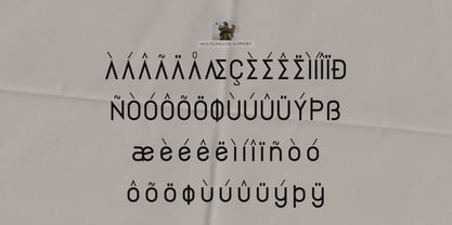 Delmaria Font Poster 11