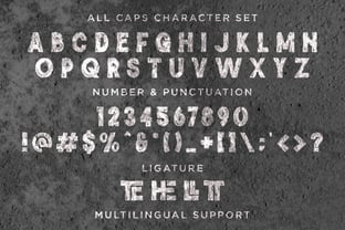 Catalleya Font Poster 9