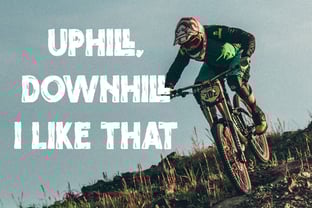 Catalleya Font Poster 2